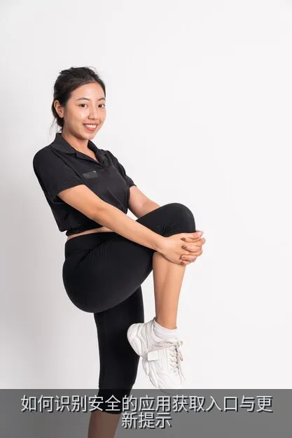 手机界面显示应用版本说明与权限核对清单的示意图