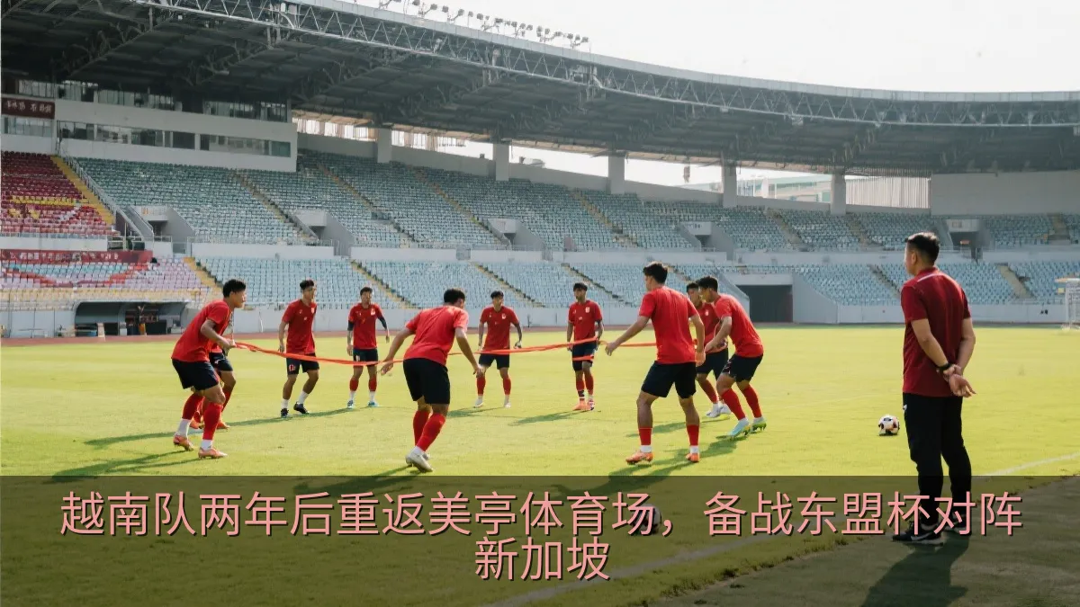 新加坡国家队在美亭体育场进行赛前踩场